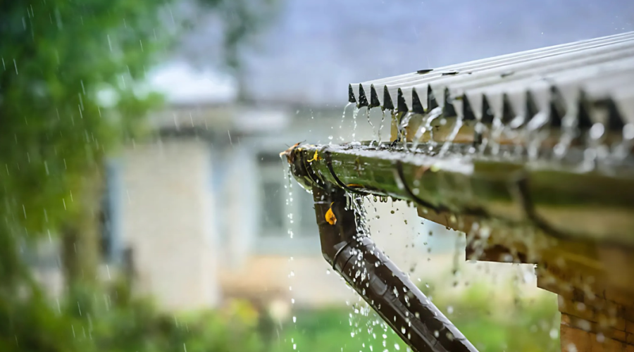 Soluções sustentáveis: aproveitamento da água da chuva para uso doméstico e paisagístico
