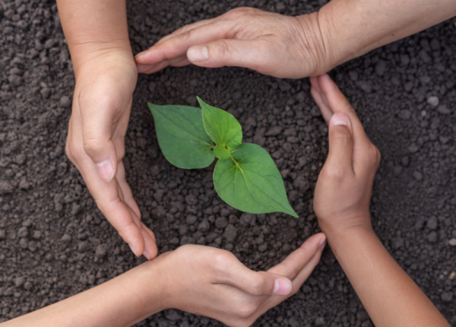 Direito Ambiental em Condomínios: responsabilidade e sustentabilidade na gestão